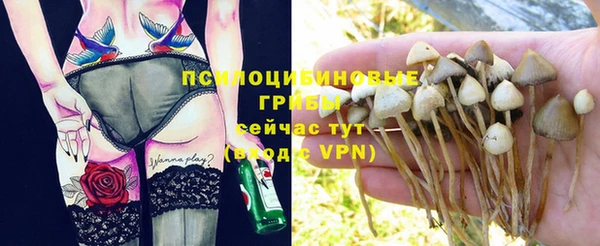 круглые Абдулино