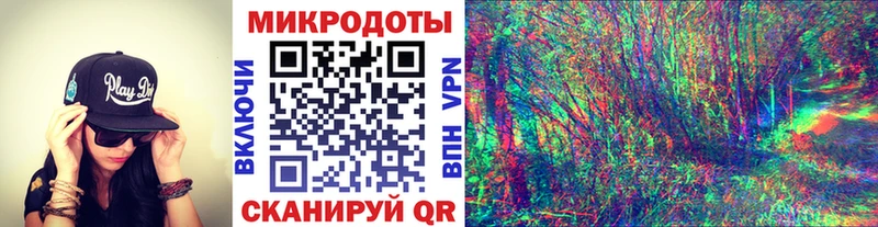 Псилоцибиновые грибы Psilocybine cubensis  Алапаевск 